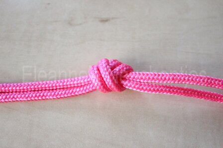 Touwhalster- Roze