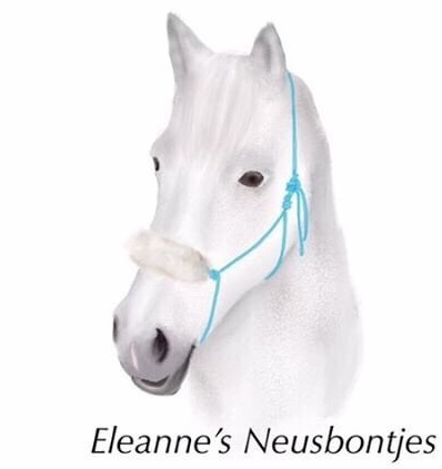 LOGO TEKST